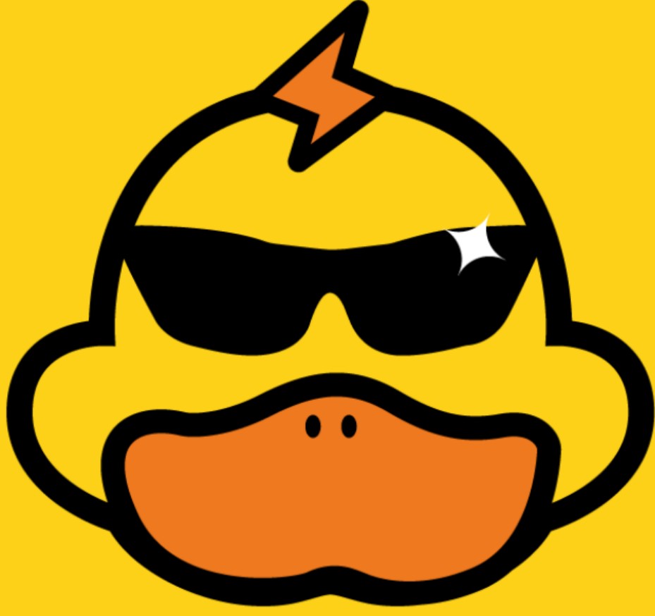 怏鸭vqn加速官网